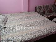 3 BHK Flat In W Z 59 for Rent In Paschim Vihar