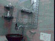 3 BHK Independent Builder Floor in Ashok Vihar for...