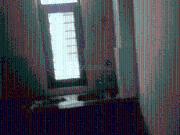 3 BHK Independent Builder Floor in Jagrati Vihar for...