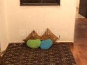 3 BHK Independent Builder Floor in Jamia Nagar for...