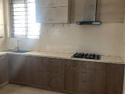 3 BHK Independent Builder Floor in Koramangala for rent...