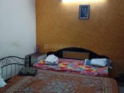 3 BHK Independent Builder Floor in Sector 49 for resale...