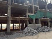 3 BHK Independent Builder Floor in Sector 7 for resale...