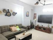3 BHK Independent Builder Floor in Sree Nagar for rent...