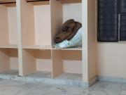 3 BHK Independent House in Amberpet for resale...