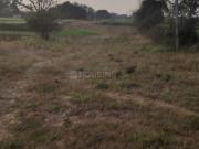 3 BHK Independent House in Arera Colony for resale...