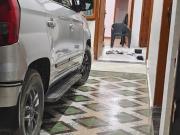 3 BHK Independent House in Misripur for rent Lucknow....