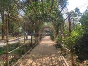 3 BHK Independent House in Sector 28 for resale...