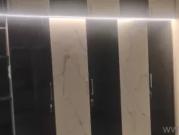 3 BHK rent Apartment in Koyambedu, Chennai