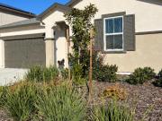 3 Br, 2 bath, Single Family 10424 Skynyrd Way