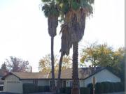 3 Br, 2 bath, Single Family 5020 Tacomic Drive