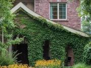 3 Br, 4 bath, Townhouse/Brownstone/RowHouse 595 S Corona...