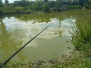 3 chambres, HUILLE Pays de la Loire 49430 91424722