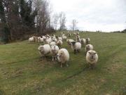 3 chambres, MARVAL Limousin 87440 89291204