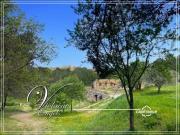 3 chambres, MINERVE Languedoc Roussillon 34210 LS87059346