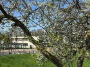 3 chambres, SARTROUVILLE Île de France 78500 92913244