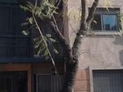 3 DE FEBRERO AL 1100 ALQUILER DEPARTAMENTO 1 DORMITORIO...