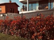 3 Dormitorio Apartamentos Bilbao Bilbao LS97272220