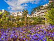 3 Dormitorio Apartamentos Málaga Andalusia 95261317