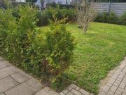 3 Fam. Wohnhaus ACHTUNG Preisreduzierung zu verkaufen v.... 3 Fam. Wohnhaus ACHTUNG Preisreduzierung zu verkaufen v....