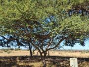 4 Bedroom House in Tweefontein