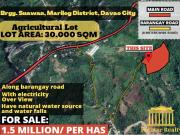 3 HAS Agricultural Lot is For Sale at Brgy. Suawan,...