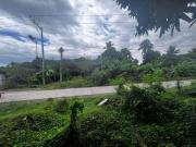 3 Hectare Commercial Land in Tibungco
