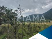 3 HECTAREAS EN VENTA COL. PUERTA DE LA LAGUNA, TEPIC,...