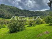 3 HECTAREAS EN VENTA, SAN JUAN ATEZCAPAN