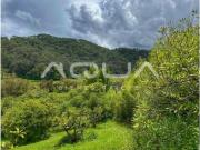 3 HECTAREAS EN VENTA, SAN JUAN ATEZCAPAN