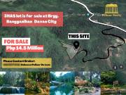 3 Hectares Lot is For Sale at Barangay Bangganihan,...
