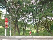 3 Hectares Prime Commercial Lot for sale at Quirino...
