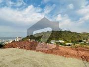 3 kanal 3 side corner hill view top farm house plot for sale