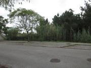 3 Lotes de terreno para construção