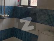 3 Marla Flat For Rent Eden