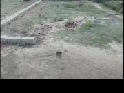 3 marla plot urgent sale bandanigyal dhamyal misrot road...