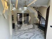 3 Marla Spanish Brand New House Available For Rent In Al... 3 Marla Spanish Brand New House Available For Rent In Al...