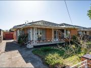 Your Very Own Sanctuary