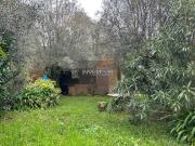 3 quarto, Caminha Viana do Castelo 97135137