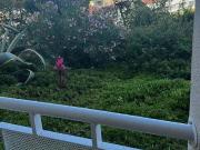 3 quarto, Funchal Ilha da Madeira 77904562 3 quarto, Funchal Ilha da Madeira 77904562