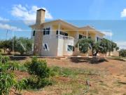 3 quarto, Lagos Algarve 86007444