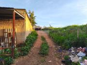 3 quarto, Lagos Algarve 88033788