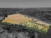 3 quarto, Reguengos de Monsaraz Évora 97232621