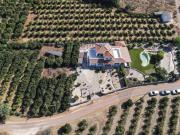 3 quarto, Silves Algarve 95718383