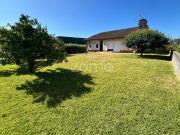 Viseu Viseu 92178492