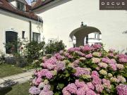 + + 3 Raum Büro + + + SCHLOSS HETZENDORF + +