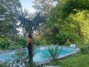 3½ room apartment in Uetliberg ZH, furnished, temporary