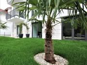 3 Room Luxury Apt. on the Park with Garden Frankfurt