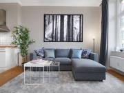 3 room new refurbished loft apartment with open kitchen,...