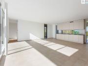 3½ room penthouse apartment Rubia Russikon